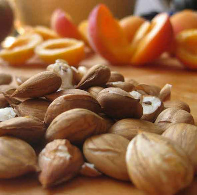 BioCham-Apricot Kernels Cold Pressed Oil 35 ml