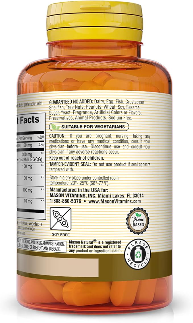 Mason Natural Mushroom Power With Matcha