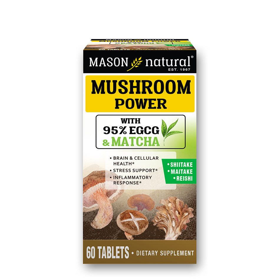 Mason Natural Mushroom Power With Matcha