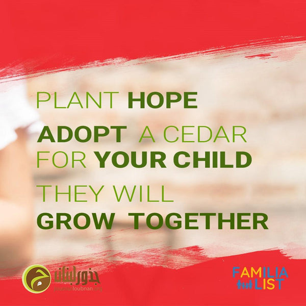 Adopt a Cedar