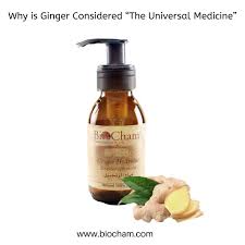 BioCham - Ginger Essential Oil