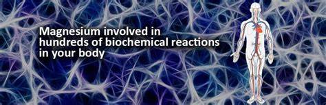 BioTechUSA Magnesium Chelate Capsules