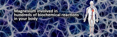 BioTechUSA Magnesium Chelate Capsules