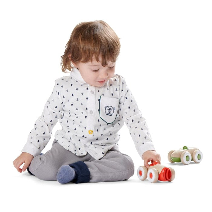 Chicco Car Eco+
