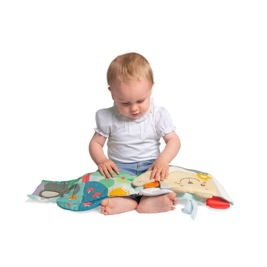 Chicco Soft Activity Book