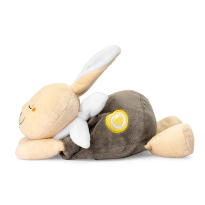 Chicco Warm Cuddle Bunny