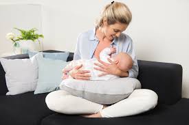 Doomoo Softy Nursing Pillow