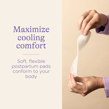 Lansinoh Postpartum Padsicles X8