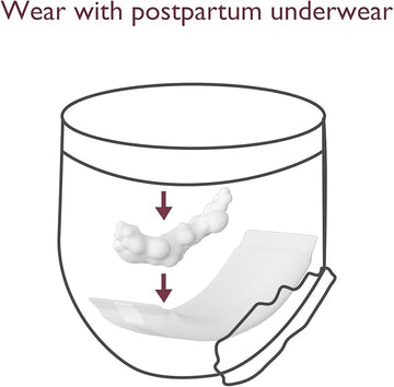 Momcozy Postpartum Disposable Underwear 12 Pcs