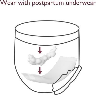 Momcozy Postpartum Disposable Underwear 12 Pcs