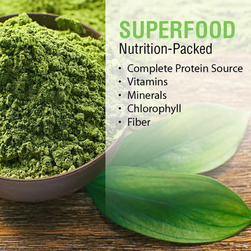 Solaray Chlorella 410 mg