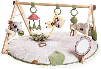 Tiny Love Boho Chic Gymini