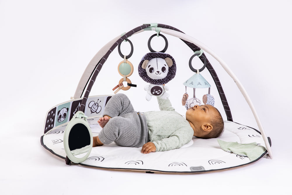 Tiny Love Classic Gymini Black & White