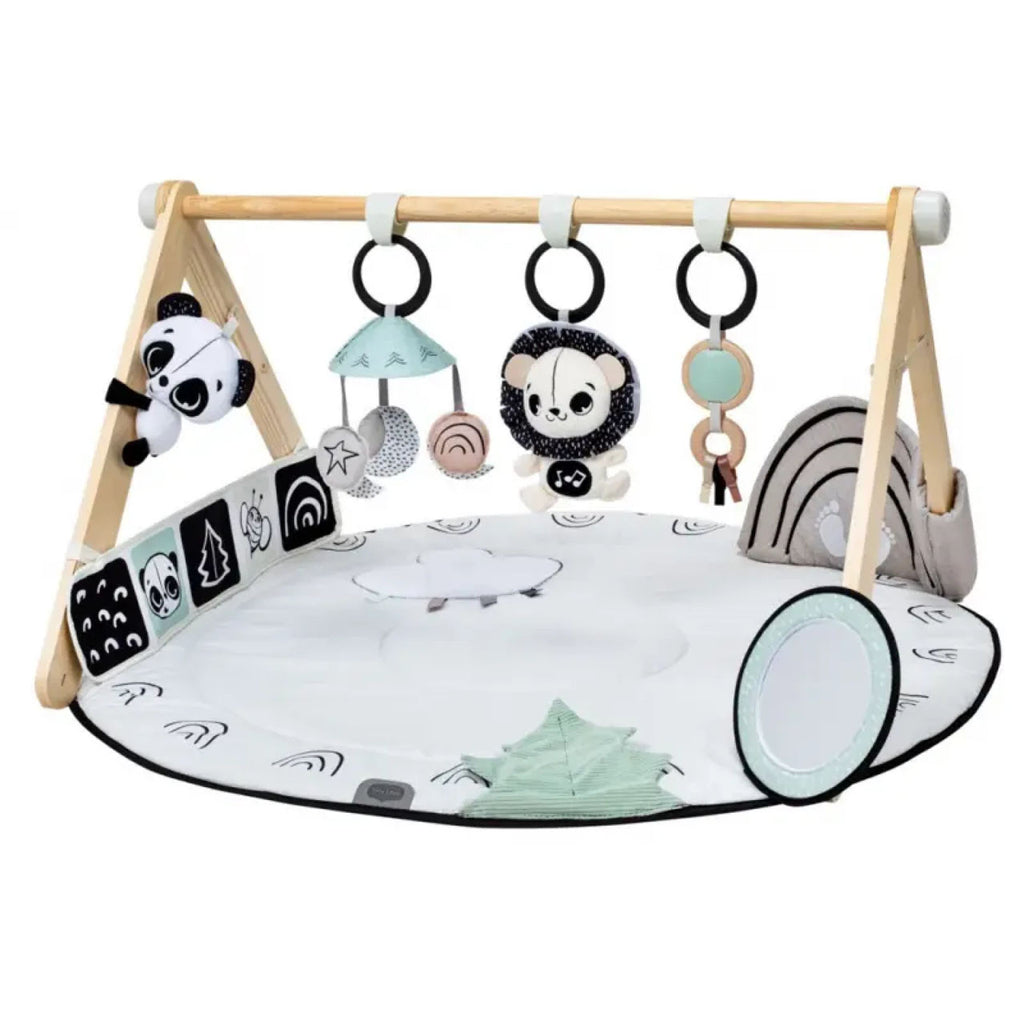 Tiny Love Luxe Gymini Gym Black & White