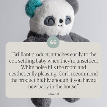 Tommee Tippee PipPanda Deluxe Sound and Light Sleep Aid