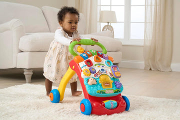 Vtech Super Talking Walker 2 in 1