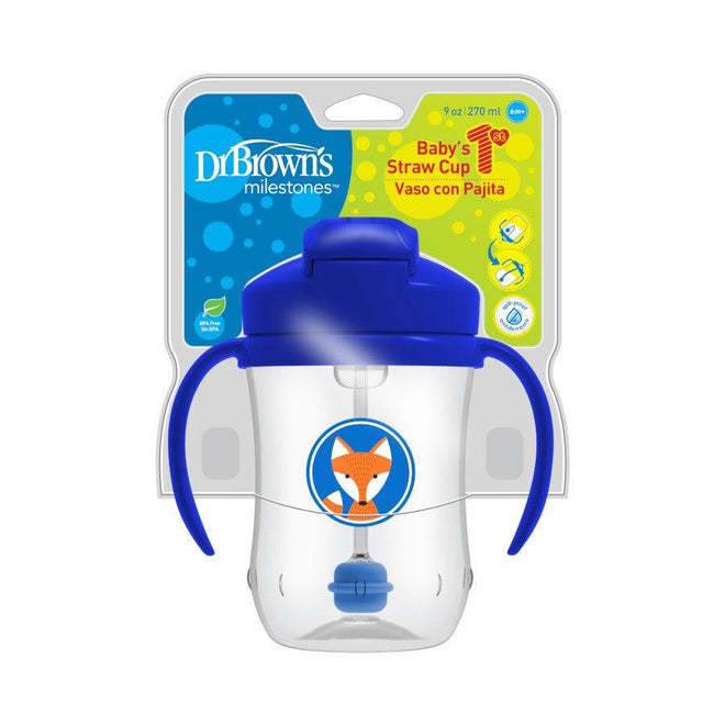 Dr. Brown’s Milestones Insulated Straw Cup