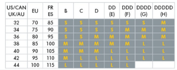 Medela Easy Expression Bustier