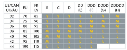 Medela Easy Expression Bustier