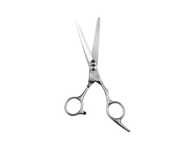 Or Bleu Professional Hair Scissors