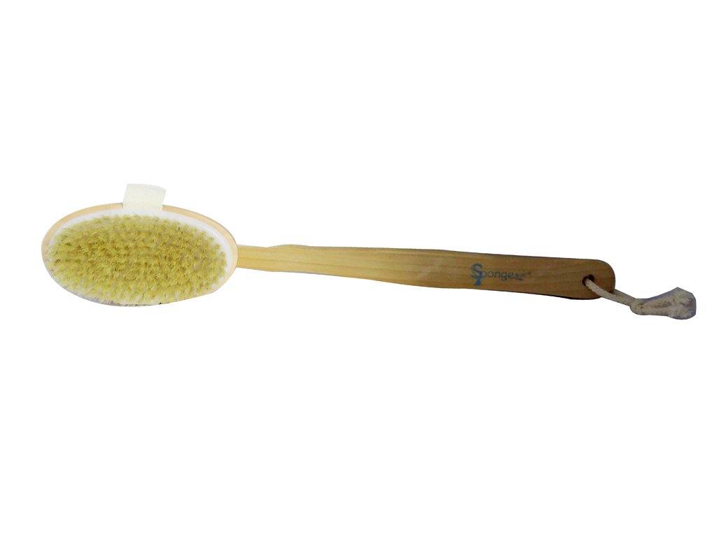 Sponge W/Handle Brush