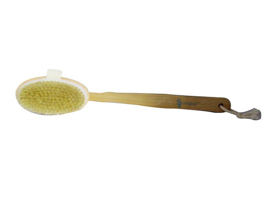 Sponge W/Handle Brush