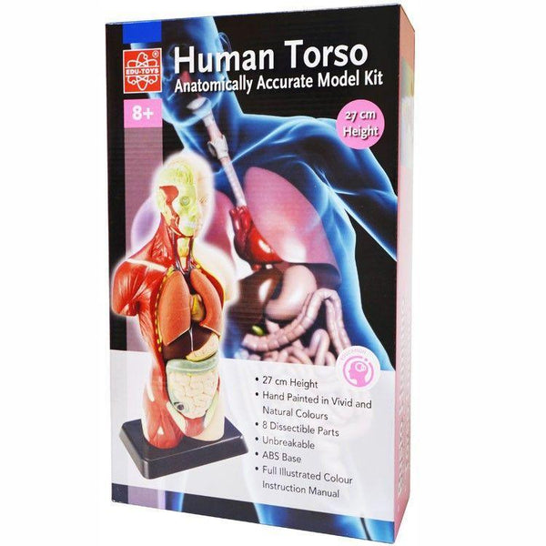 Human Anatomy A.R.