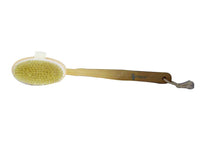 Sponge W/Handle Brush - FamiliaList